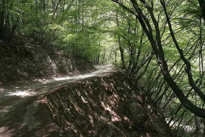 Chiaksan Hiking Guide: Birobong and Guryongsa Trail hiking trail in Korea