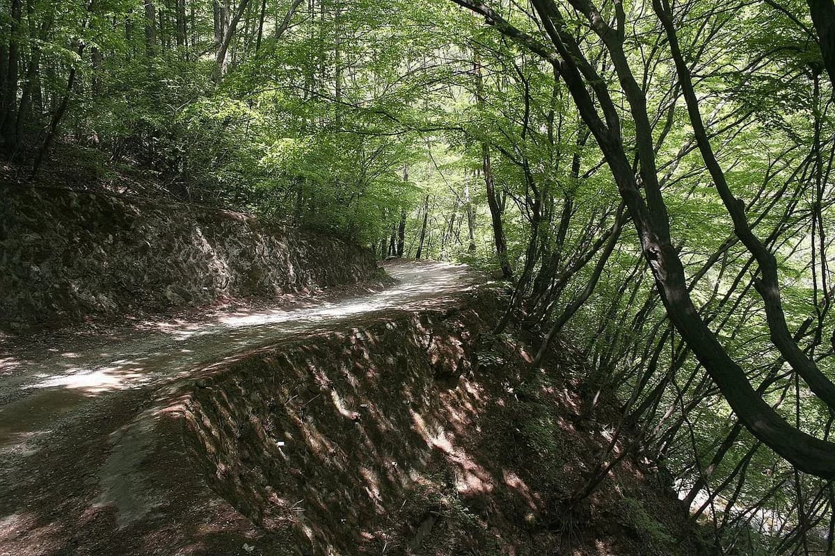 Chiaksan Hiking Guide: Birobong and Guryongsa Trail