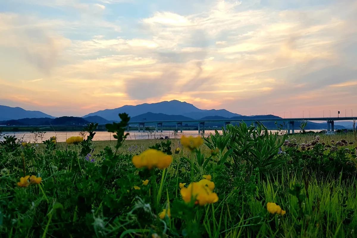 Geumosan Hiking Guide: Cable Car and Confucian Heritage