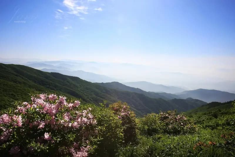 Hwangmaesan Hiking Guide: Azalea Plateau and Summit hiking trail in Korea