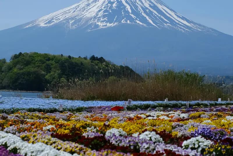 Mount Fuji Hiking Guide: Yoshida Trail, Permits, and How to Get There from Tokyo hiking trail in Korea