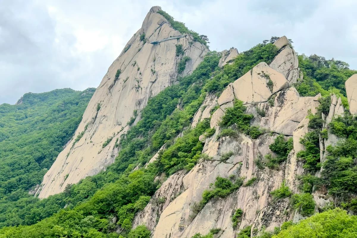 Odaesan Hiking Guide: Fir Forest and Birobong