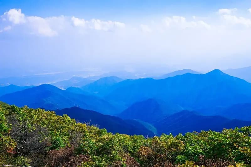 Sobaeksan Hiking Guide: Royal Azaleas and Ridges hiking trail in Korea