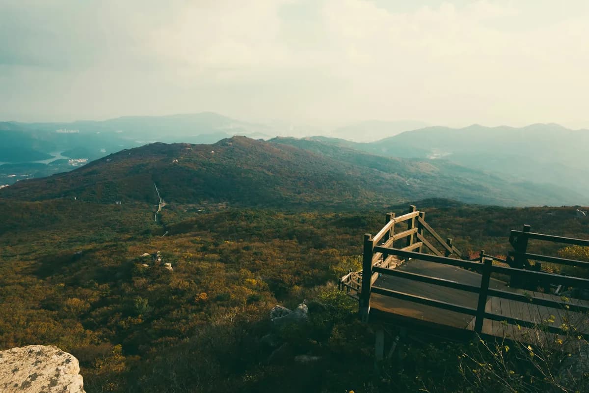 Yongmunsan Hiking Guide: Ancient Ginkgo and Summit