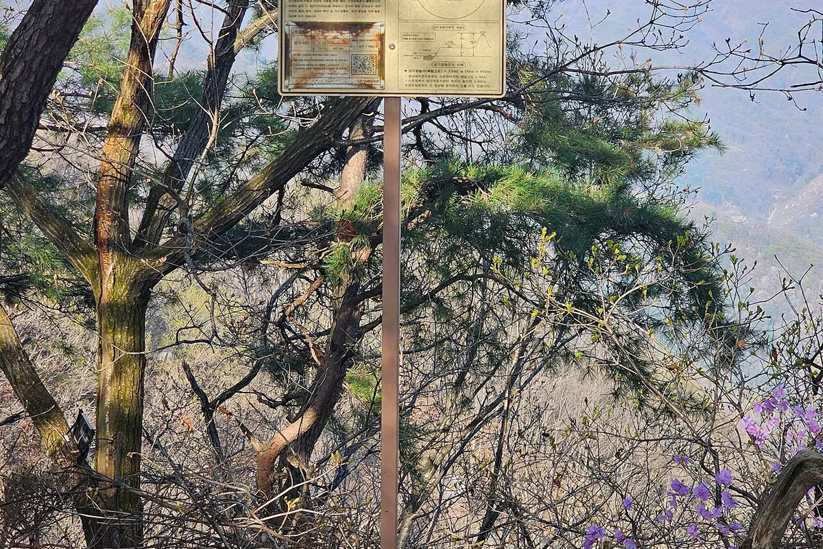 Cheonggyesan spring wildflowers valley stream Wonteogol