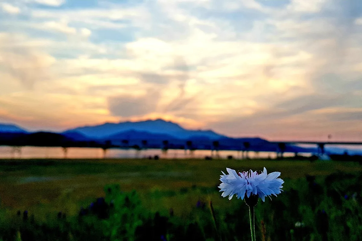 Geumosan Daehye Waterfall 27 meter granite cliff summer flow