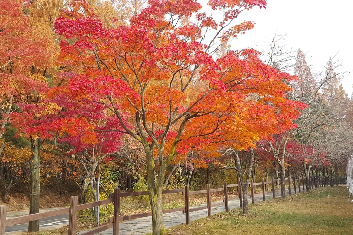 Geumosan Doseon Cave Gil Jae retreat historic Buddhist meditation site