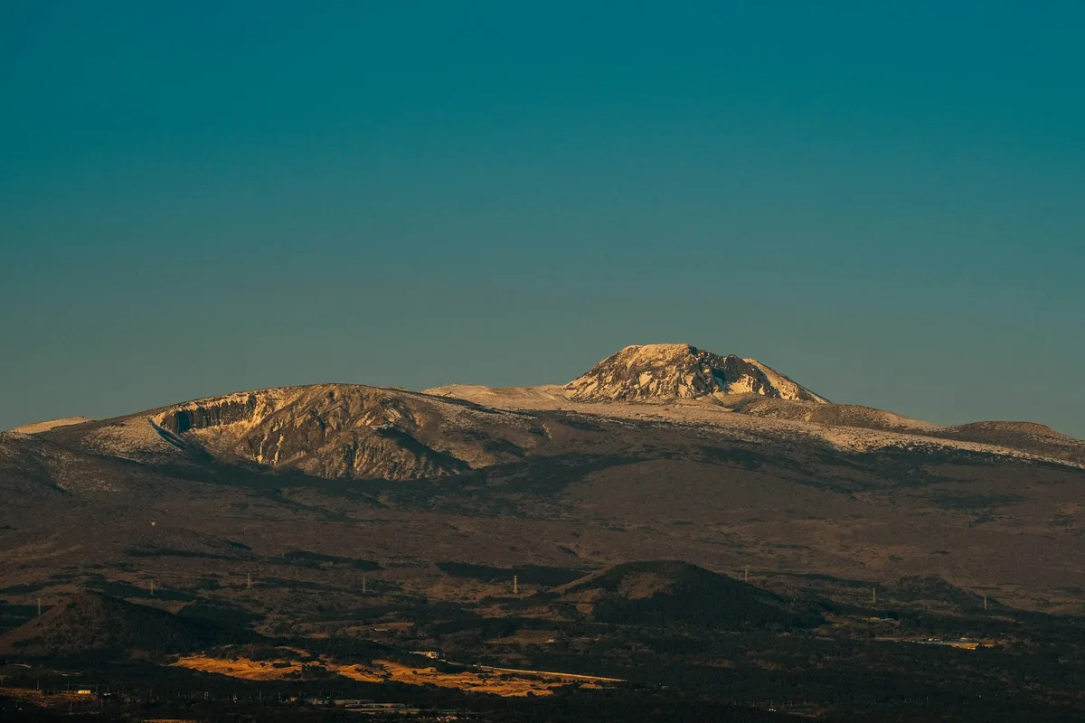 Hallasan Korean fir forest endemic Abies koreana subalpine