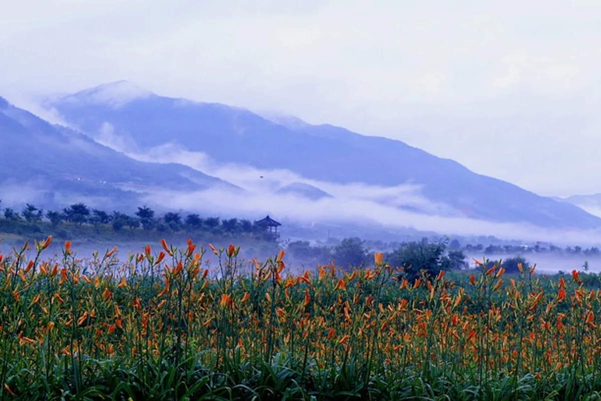 Jirisan Nogodan alpine meadow wildflowers summer Gurye