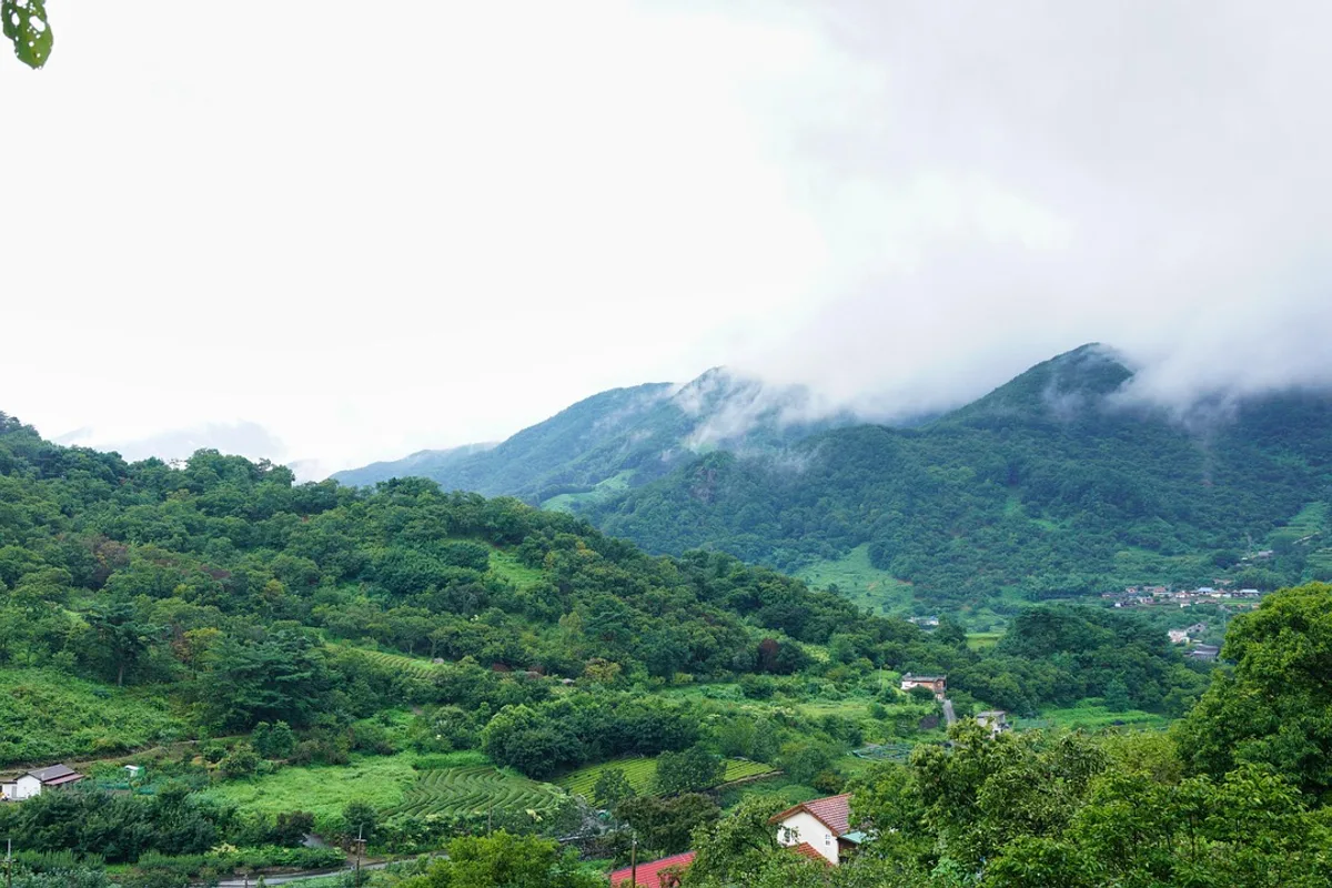 Jirisan Piagol Valley autumn crimson foliage stream October