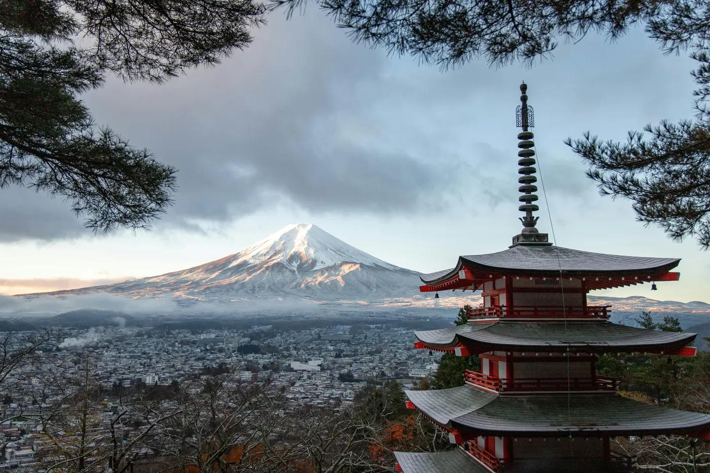Mount Fuji Chureito Pagoda cherry blossom