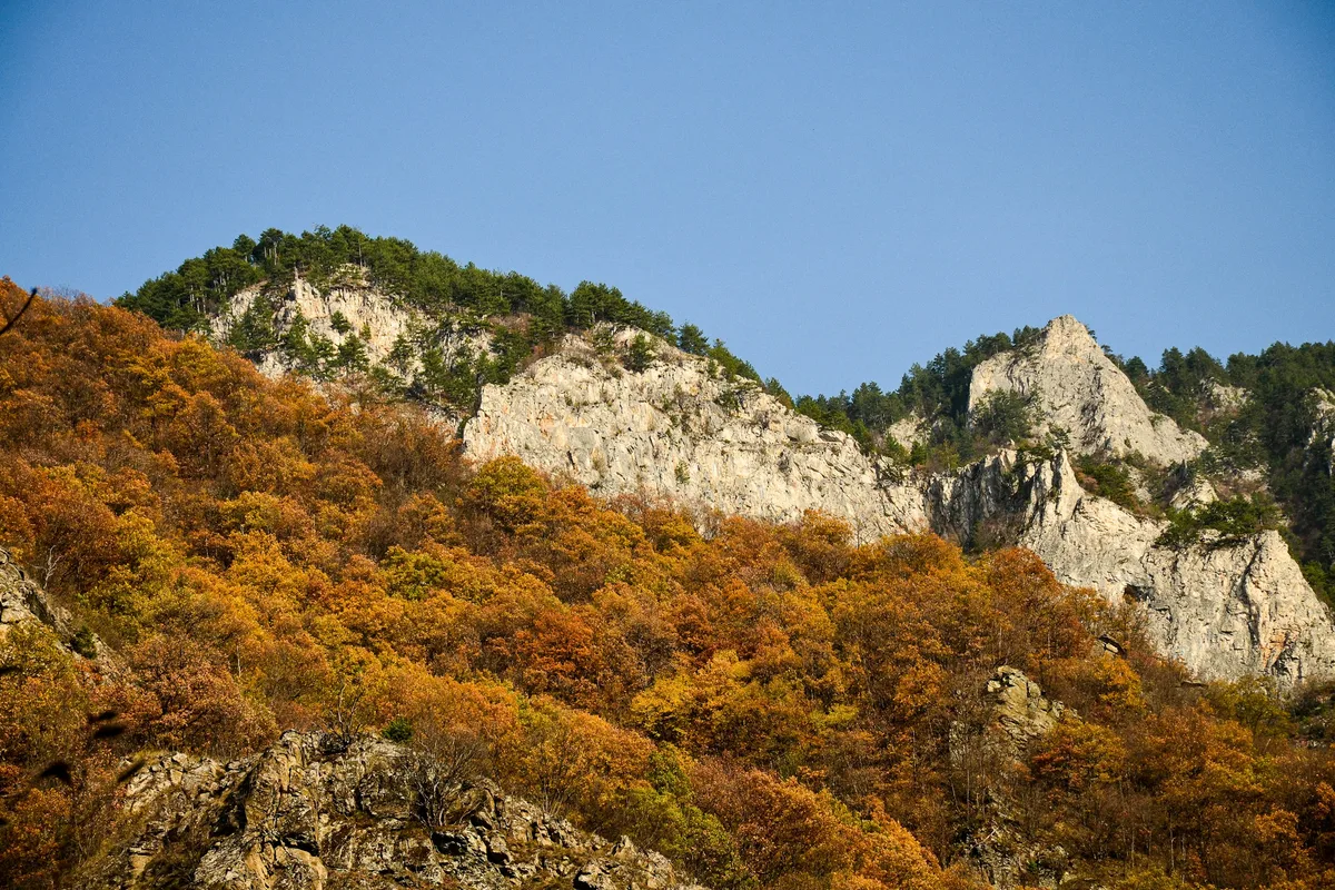 Naejangsan Uhwajeong Pavilion mirror reflection Naejang Lake autumn