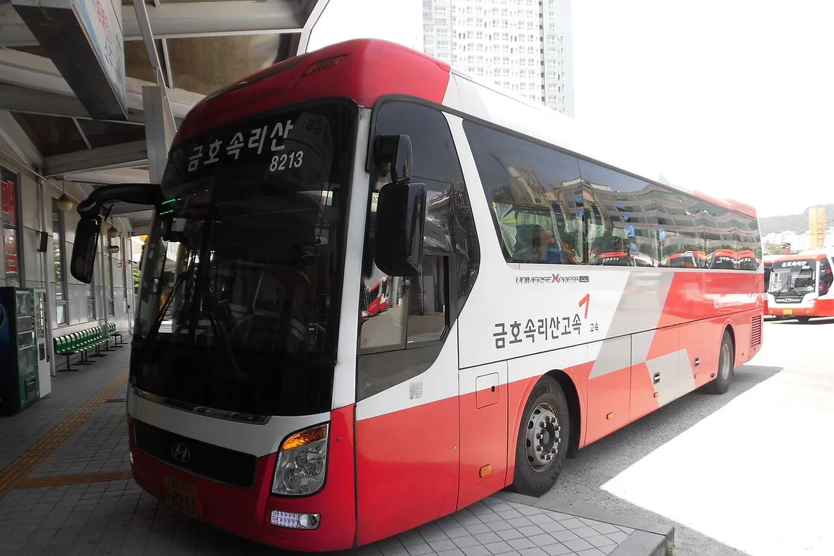 Songnisan Beopjusa Temple Maitreya Buddha golden statue autumn